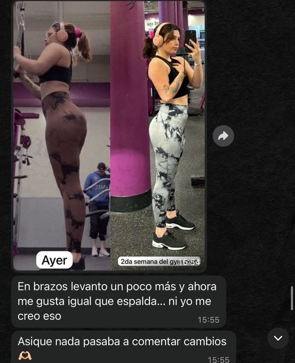 Chat de WhatsApp de Paloma con Bruno